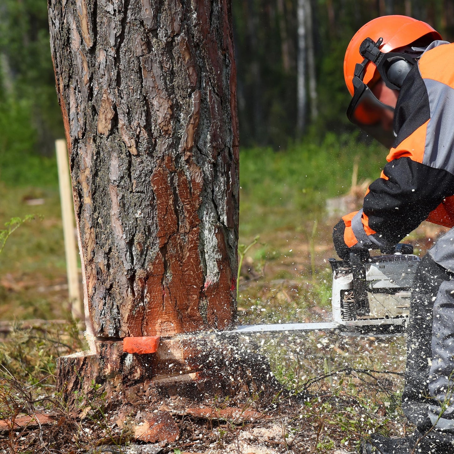 UNCO- Tree Felling Wedges with Spikes, 4Pack, 5.5" & 8" Wedges with Storage Bag, Splitting Wedge, Plastic Wedges, Logging Tools and Equipment, Chainsaw Wedges for Trees